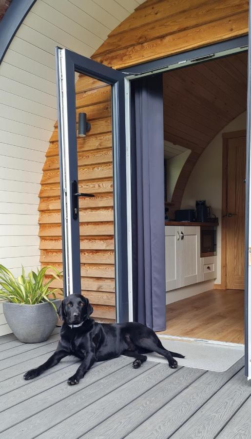 Habberley Glamping Pods Shrewsbury Exterior foto